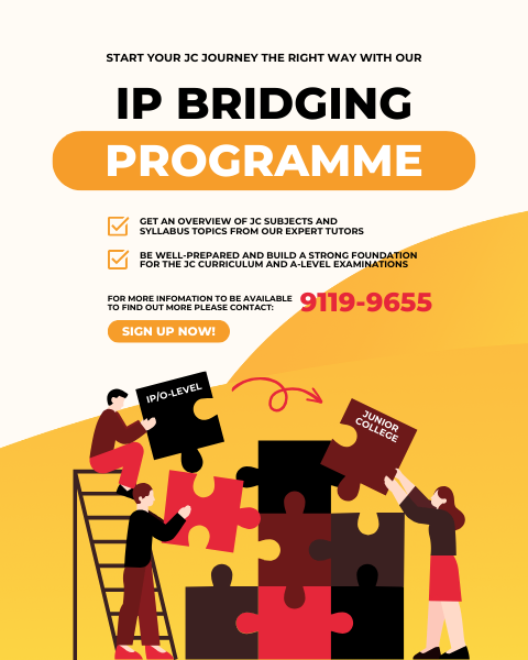 IP Bridging Programme